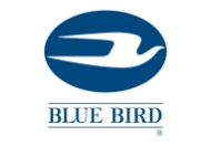 Bluebird